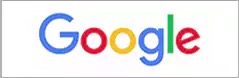 google logo SEO insurrection digital