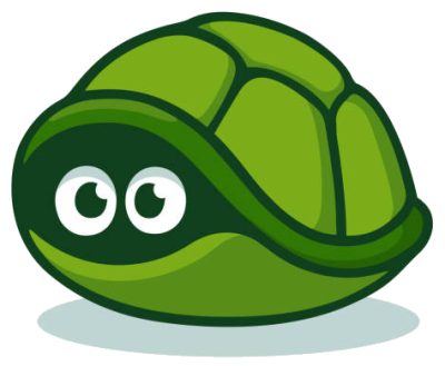 turtle hiding - no hidden costs web design